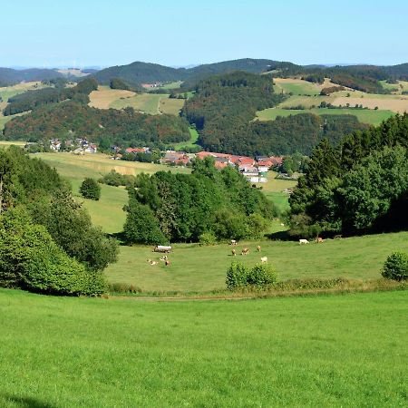 Apartment With Garden In Eimelrod Willingen  Luaran gambar