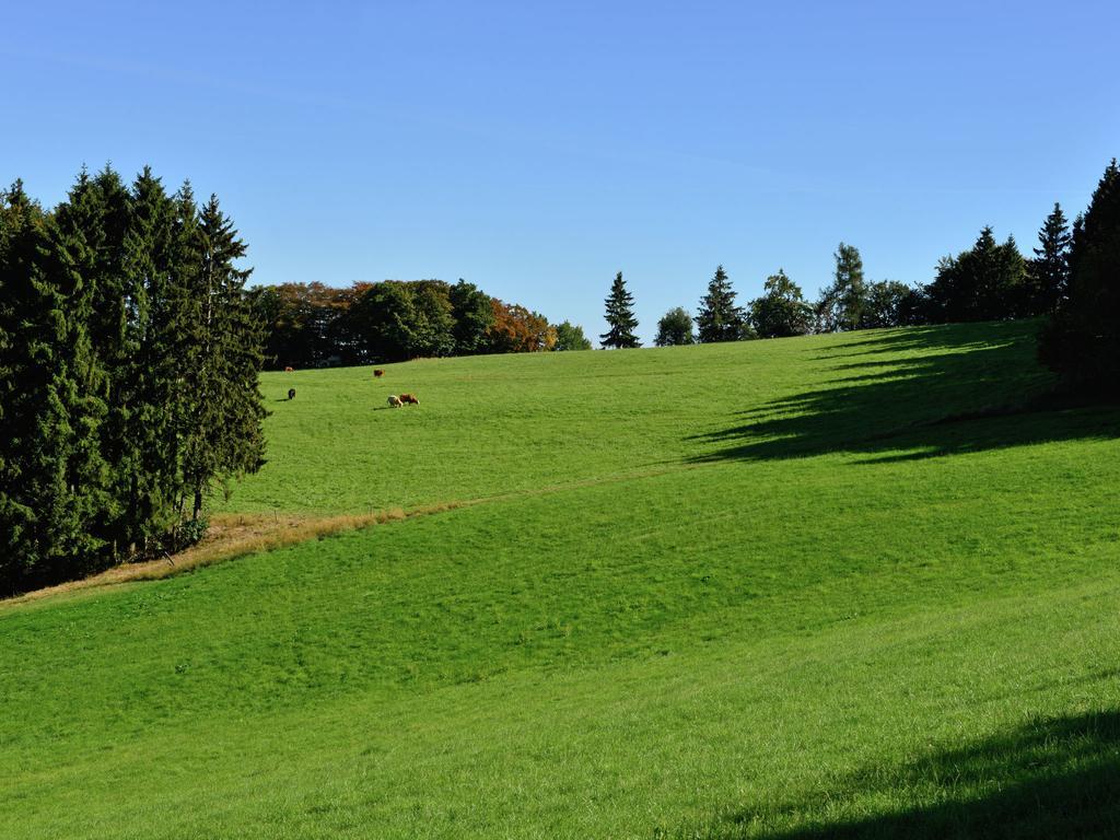 Apartment With Garden In Eimelrod Willingen  Luaran gambar